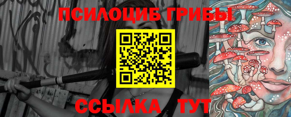 Псилоцибиновые грибы Cubensis  Галлюциногенные грибы Psilocybe  Вход с VPN  Санкт-Петербург 